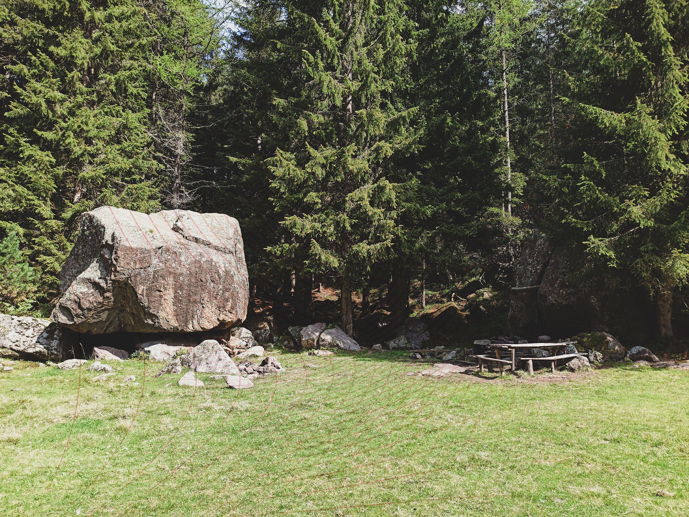 Granite boulders and forest edge in Val di Sadole