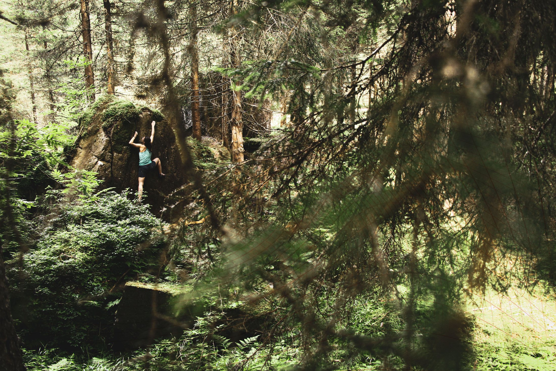 Climber on a forest boulder in Val di Sadole